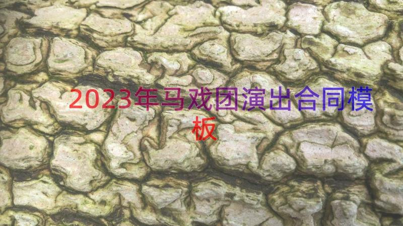 2023年马戏团演出合同（模板15篇）