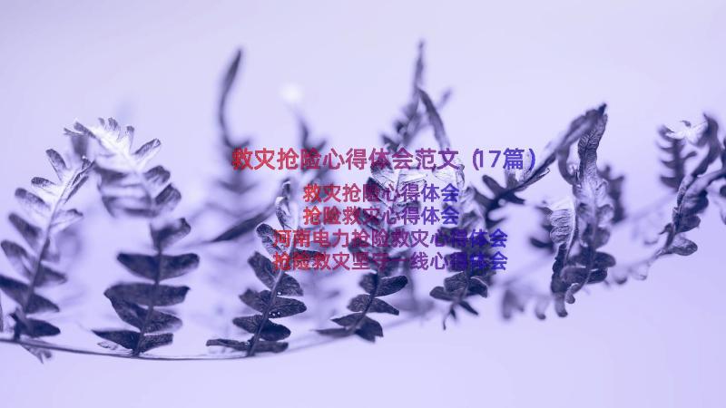 救灾抢险心得体会范文（17篇）