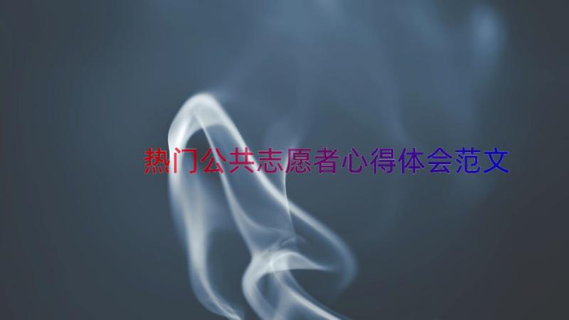 热门公共志愿者心得体会范文（14篇）