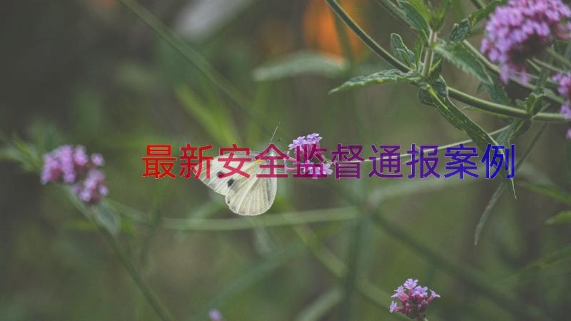 最新安全监督通报（案例16篇）