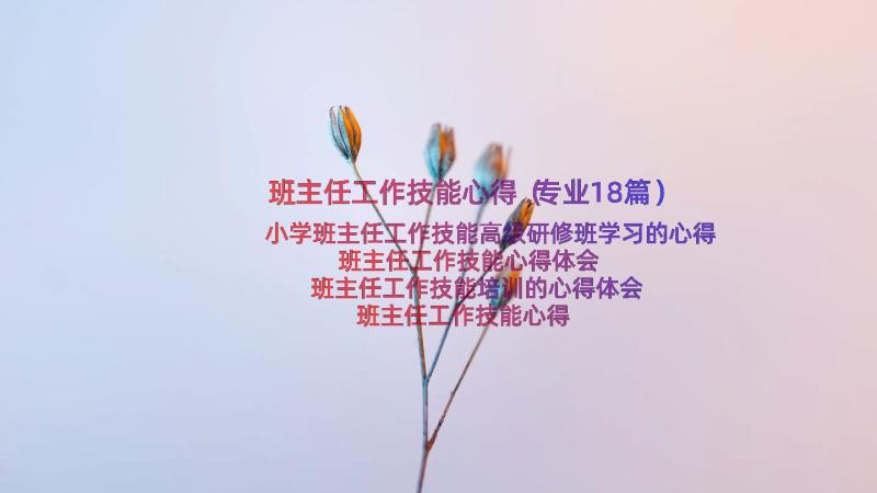 班主任工作技能心得（专业18篇）