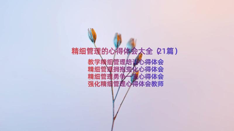 精细管理的心得体会大全（21篇）