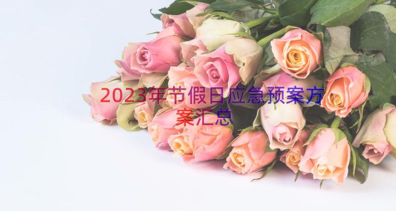 2023年节假日应急预案方案（汇总17篇）