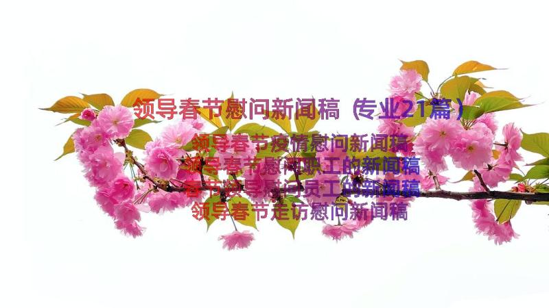 领导春节慰问新闻稿（专业21篇）