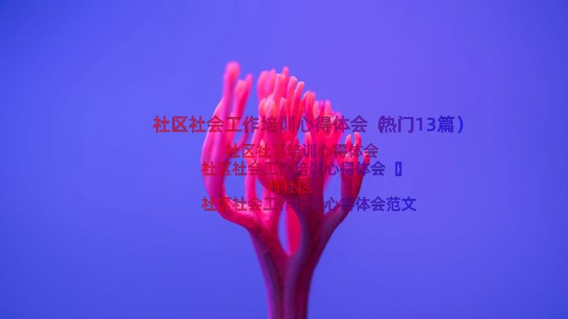 社区社会工作培训心得体会（热门13篇）