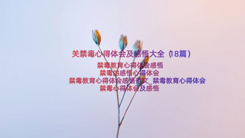 关禁毒心得体会及感悟大全（18篇）