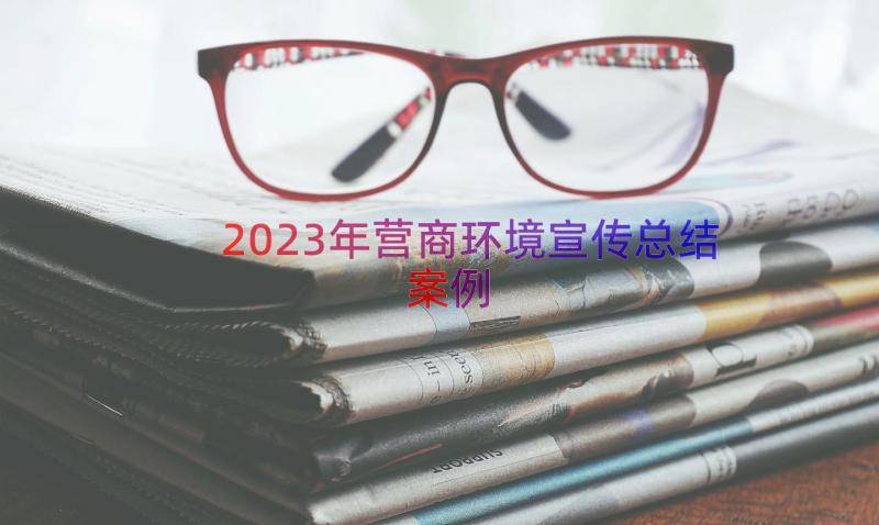 2023年营商环境宣传总结（案例15篇）