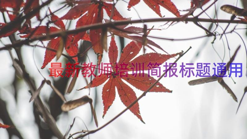 最新教师培训简报标题（通用21篇）