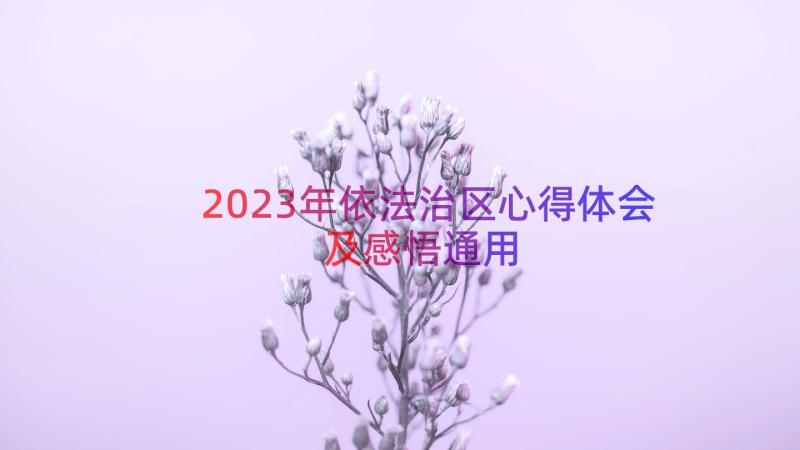 2023年依法治区心得体会及感悟（通用13篇）