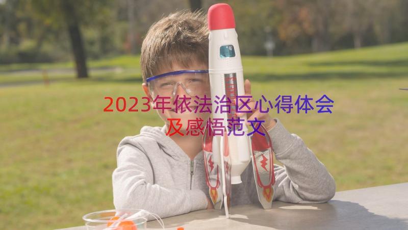 2023年依法治区心得体会及感悟范文（16篇）