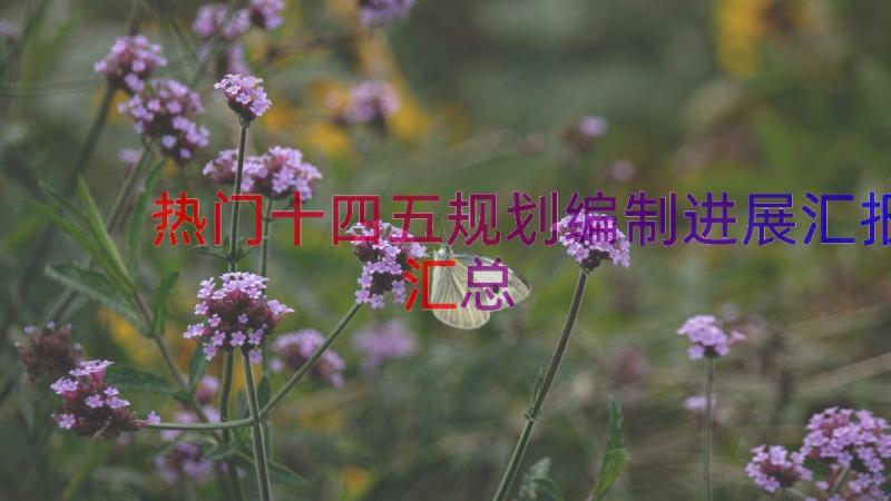 热门十四五规划编制进展汇报（汇总17篇）