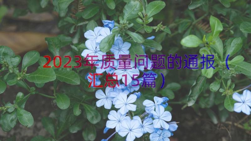 2023年质量问题的通报（汇总15篇）