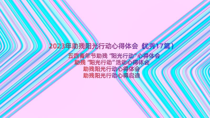 2023年助残阳光行动心得体会（优秀17篇）