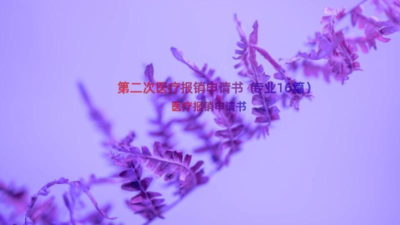 第二次医疗报销申请书（专业16篇）