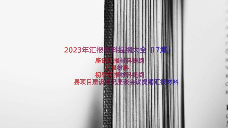 2023年汇报材料提纲大全（17篇）
