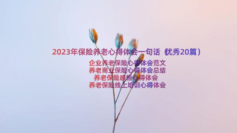 2023年保险养老心得体会一句话（优秀20篇）