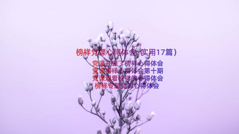 榜样党课心得体会（实用17篇）