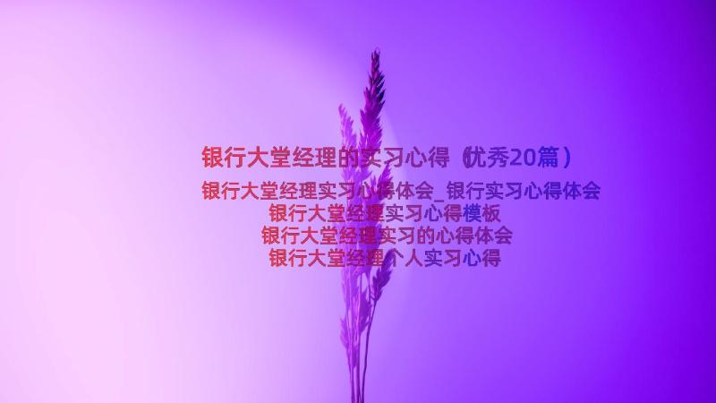 银行大堂经理的实习心得（优秀20篇）