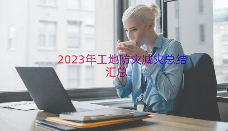 2023年工地防灾减灾总结（汇总12篇）