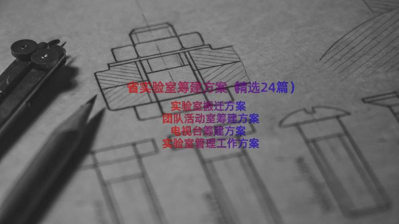 省实验室筹建方案（精选24篇）