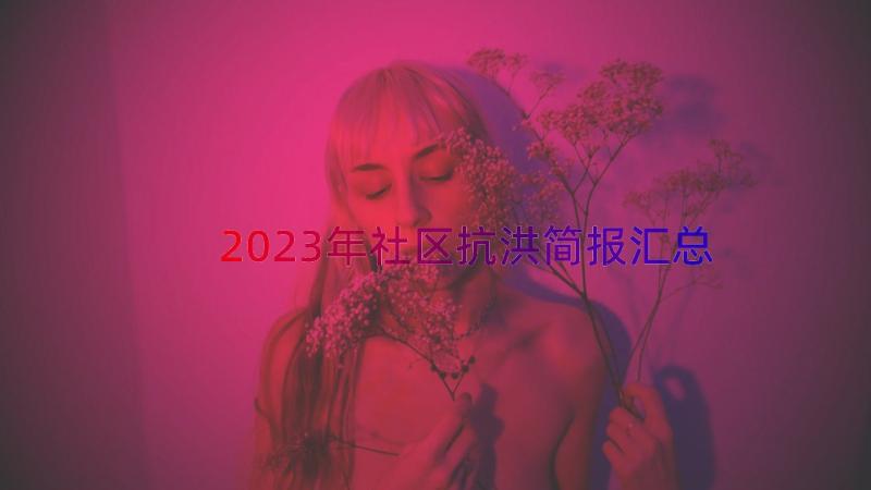 2023年社区抗洪简报（汇总12篇）