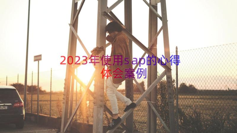 2023年使用sap的心得体会（案例13篇）