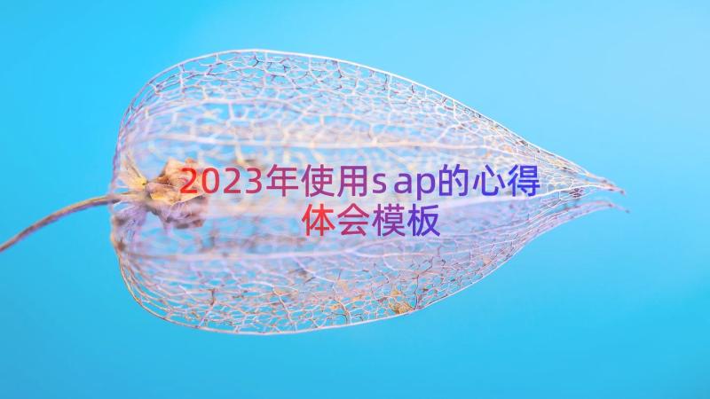 2023年使用sap的心得体会（模板16篇）