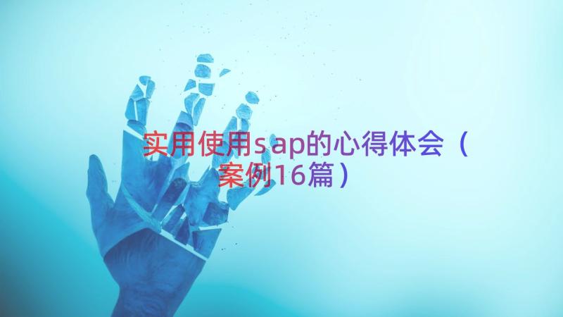 实用使用sap的心得体会（案例16篇）