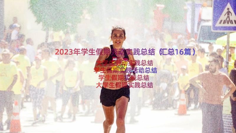 2023年学生假期劳动实践总结（汇总16篇）