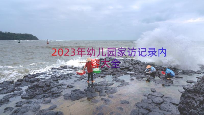 2023年幼儿园家访记录内容大全（12篇）