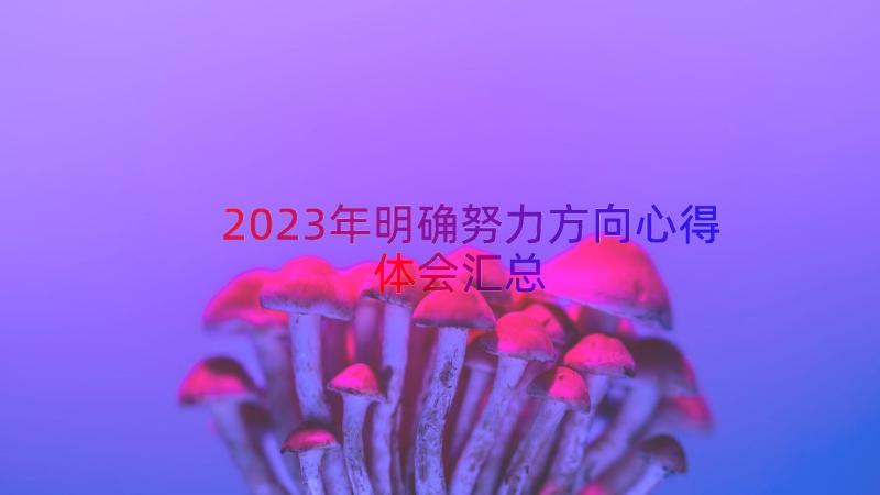 2023年明确努力方向心得体会（汇总13篇）