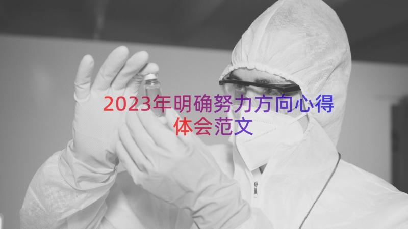 2023年明确努力方向心得体会范文（13篇）