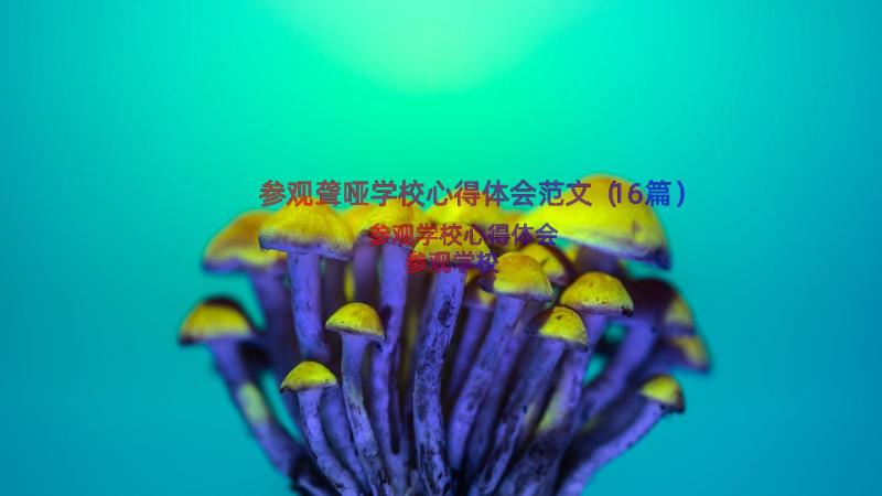 参观聋哑学校心得体会范文（16篇）