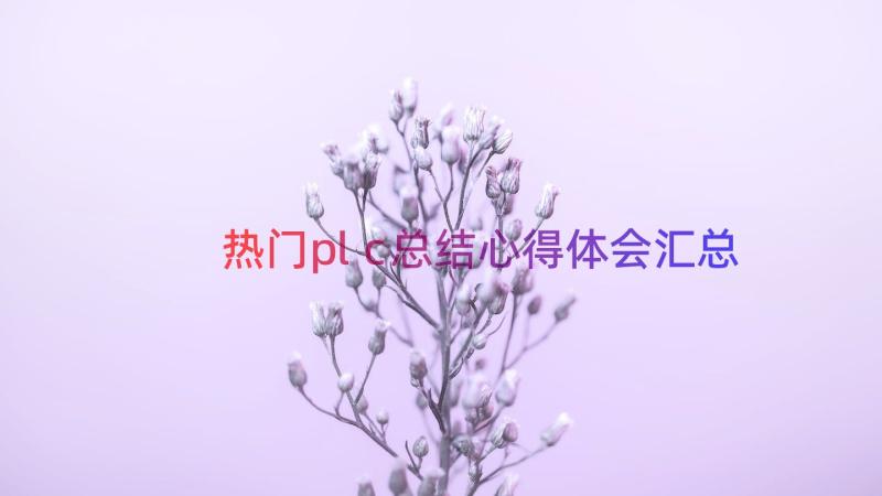 热门plc总结心得体会（汇总13篇）