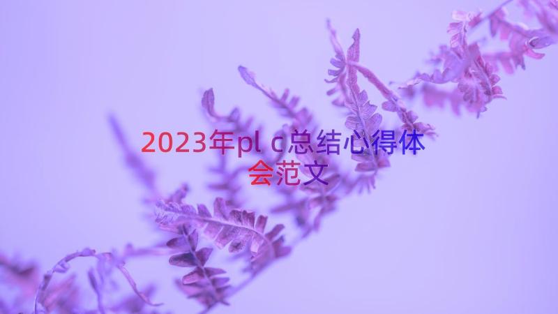 2023年plc总结心得体会范文（14篇）