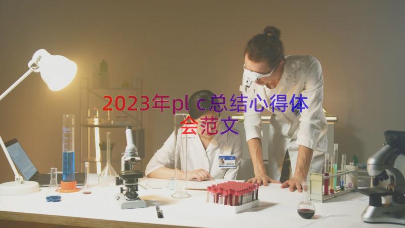 2023年plc总结心得体会范文（13篇）