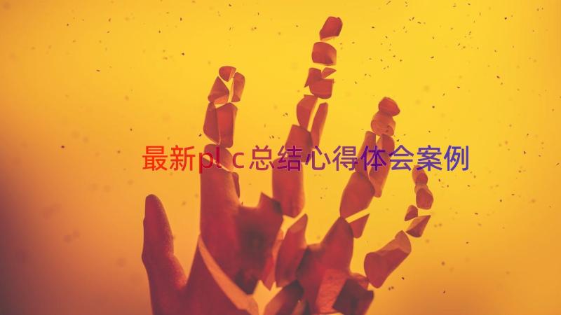 最新plc总结心得体会（案例12篇）