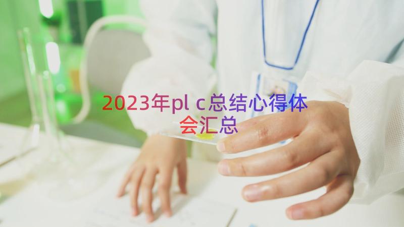 2023年plc总结心得体会（汇总17篇）