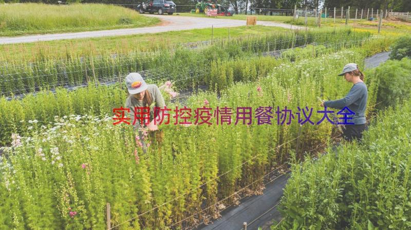 实用防控疫情用餐协议大全（12篇）