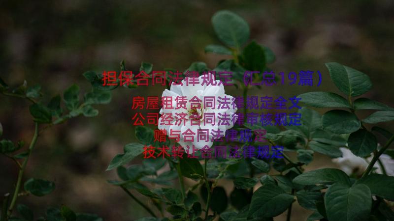 担保合同法律规定（汇总19篇）