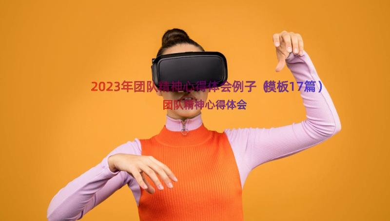 2023年团队精神心得体会例子（模板17篇）