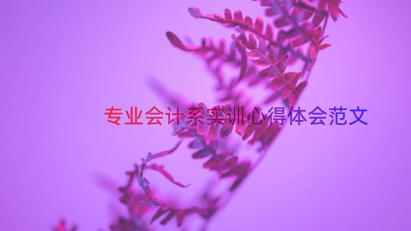 专业会计系实训心得体会范文（17篇）