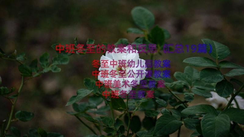 中班冬至的教案和反思（汇总19篇）