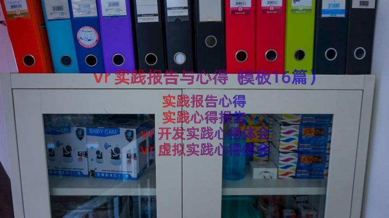 vr实践报告与心得（模板16篇）