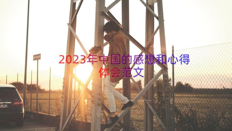 2023年中国的感想和心得体会范文（15篇）