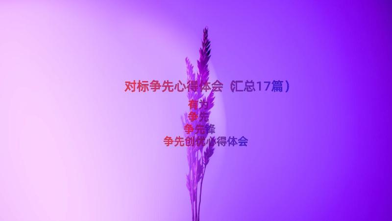 对标争先心得体会（汇总17篇）