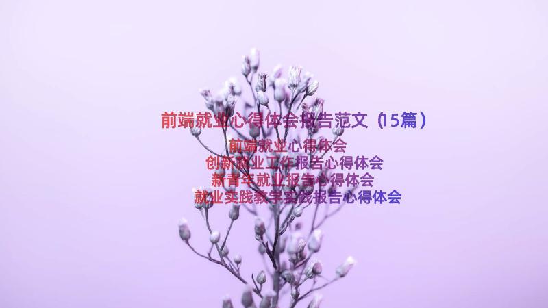 前端就业心得体会报告范文（15篇）