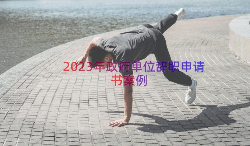 2023年政府单位辞职申请书（案例14篇）