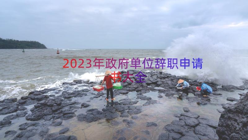 2023年政府单位辞职申请书大全（12篇）