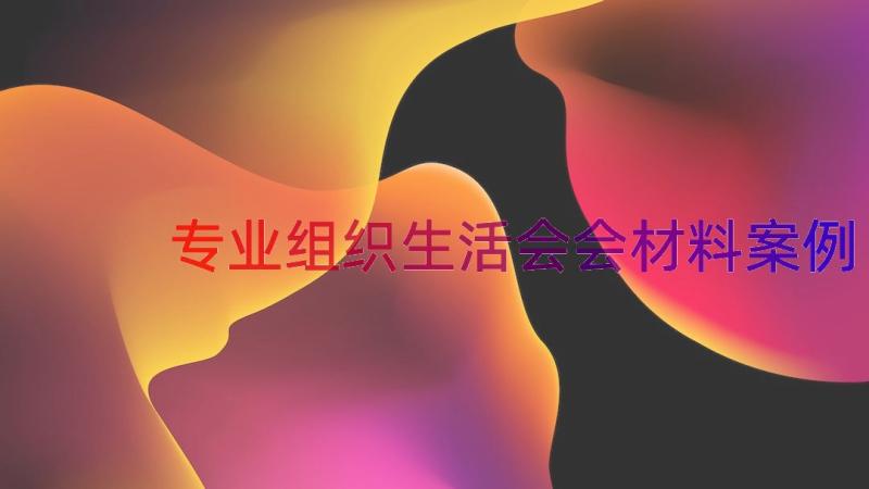 专业组织生活会会材料（案例17篇）